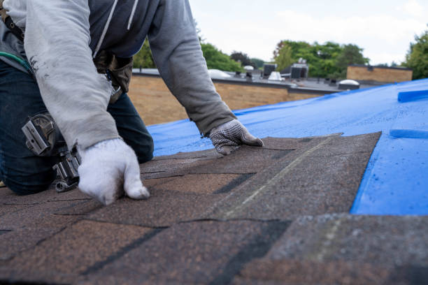 Roof Gutter Cleaning in Larchmont, NY